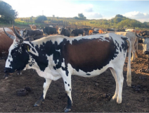Lot 72 Apr 23