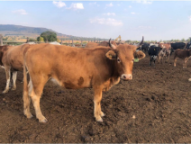 Lot 73 Apr 23