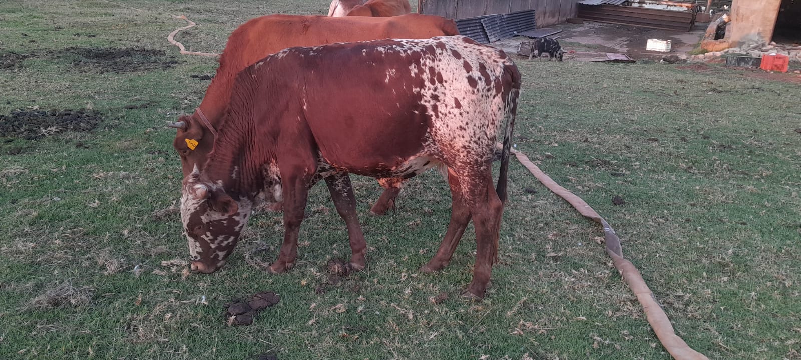 Lot 108 Apr 23