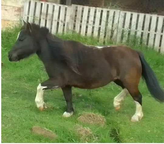 Lot 70 Apr 23