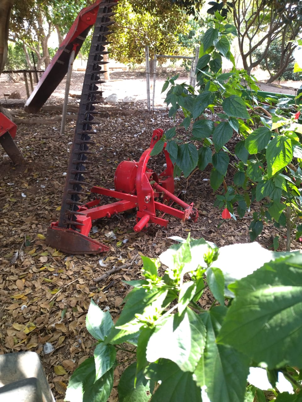 Lot 51 Apr 23