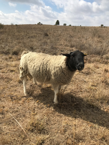 Lot 50 Sept 23