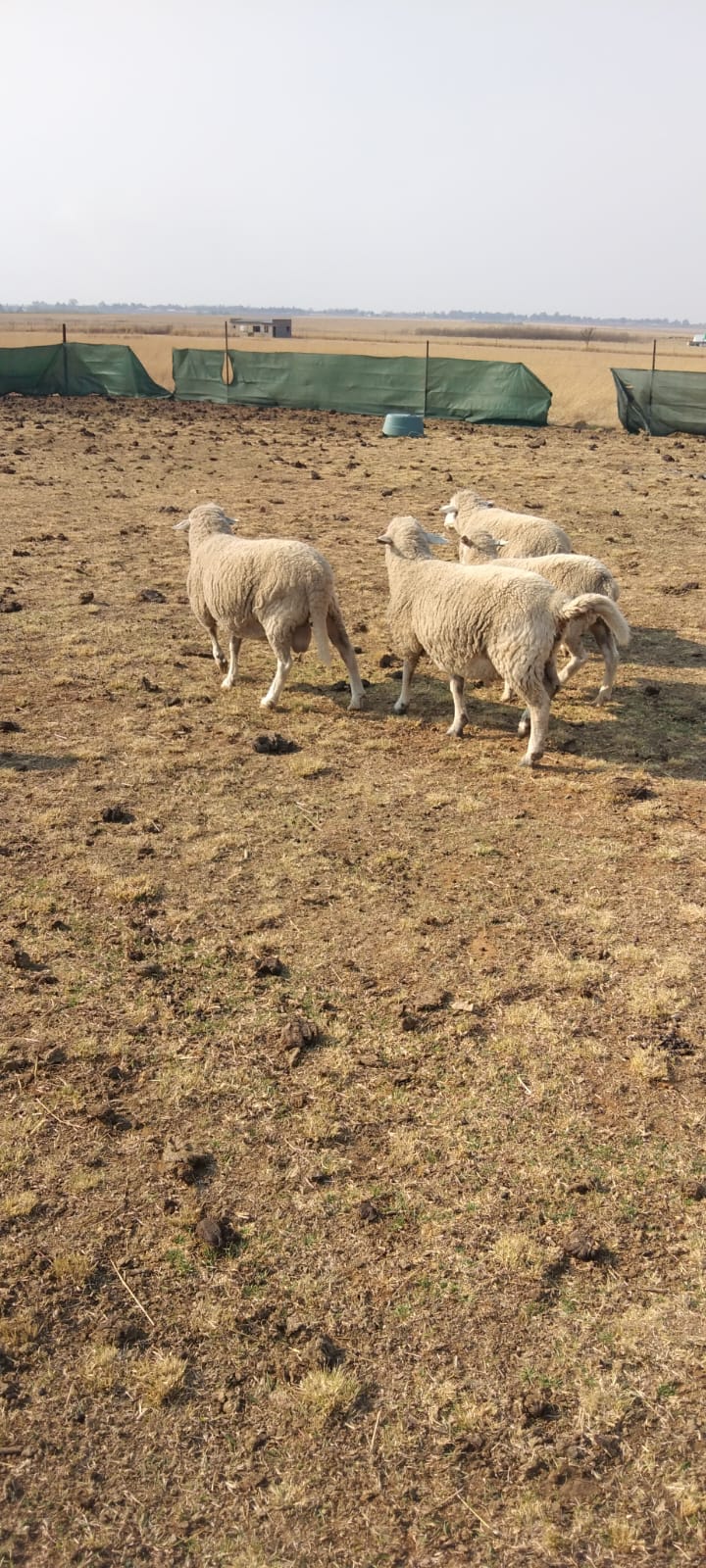 Lot 15 Sept 23