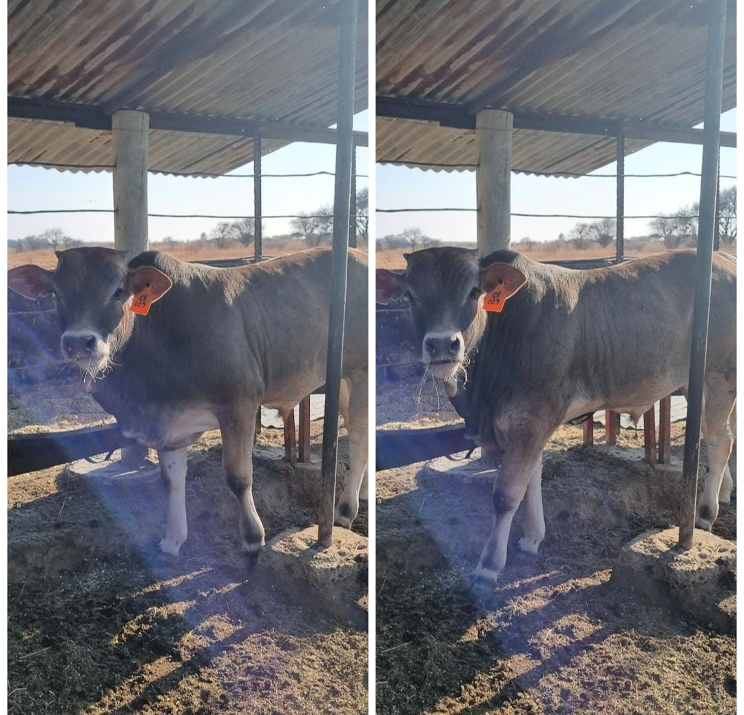 Lot 39 Sept 23