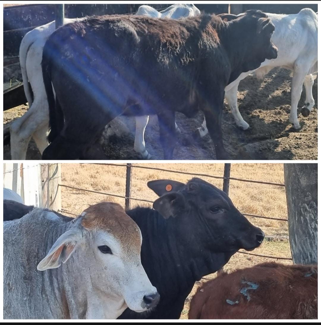 Lot 40 Sept 23