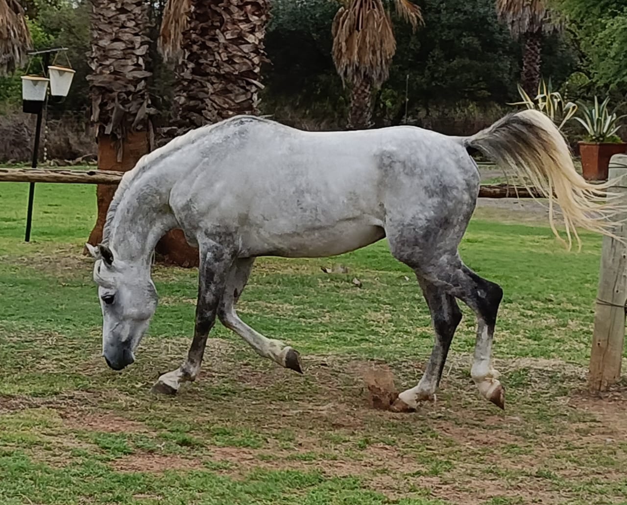 Lot 87 Nov 23