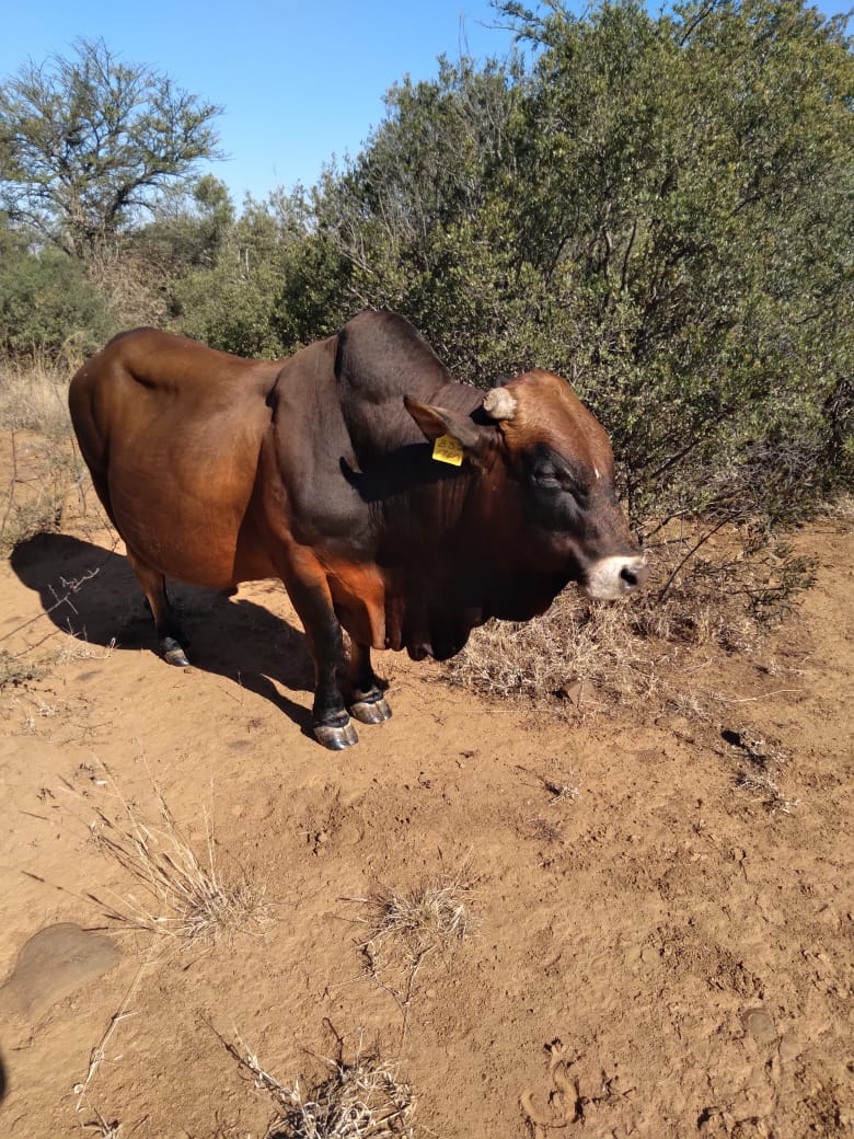 Lot 108 Nov 23