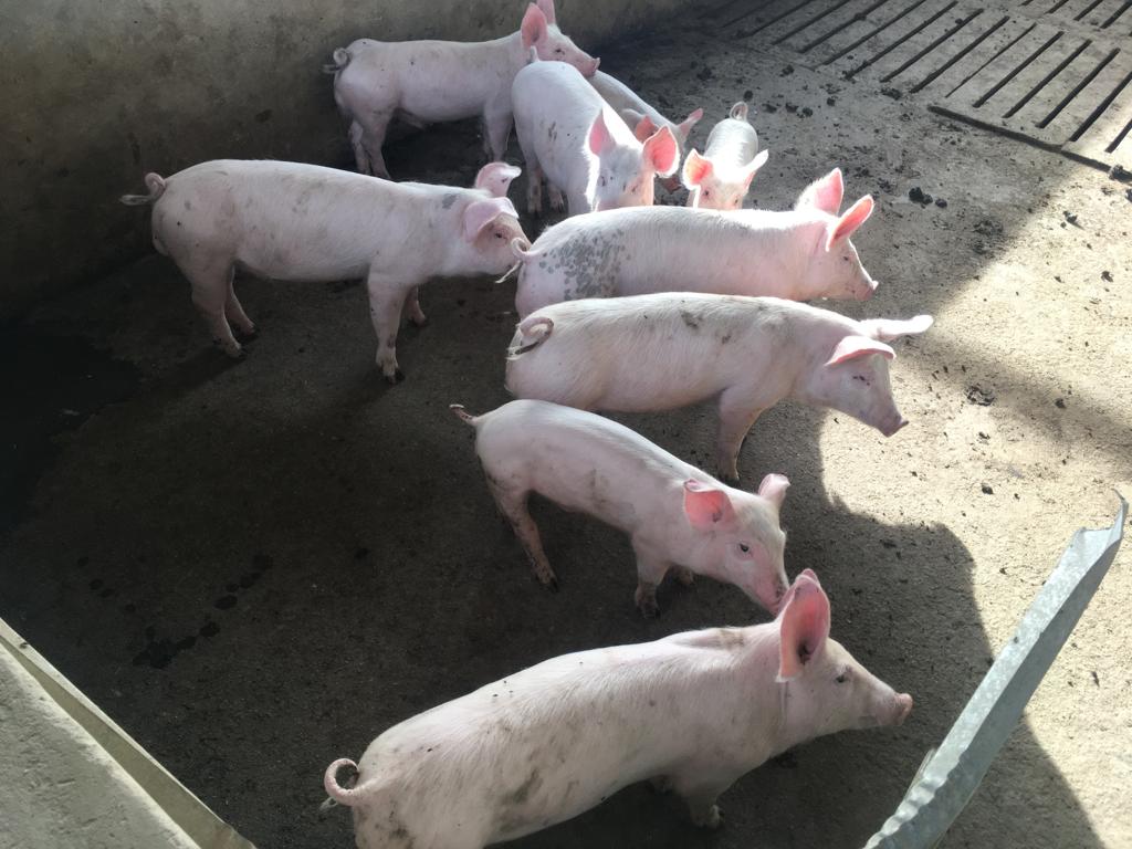 Lot 175 Nov 23