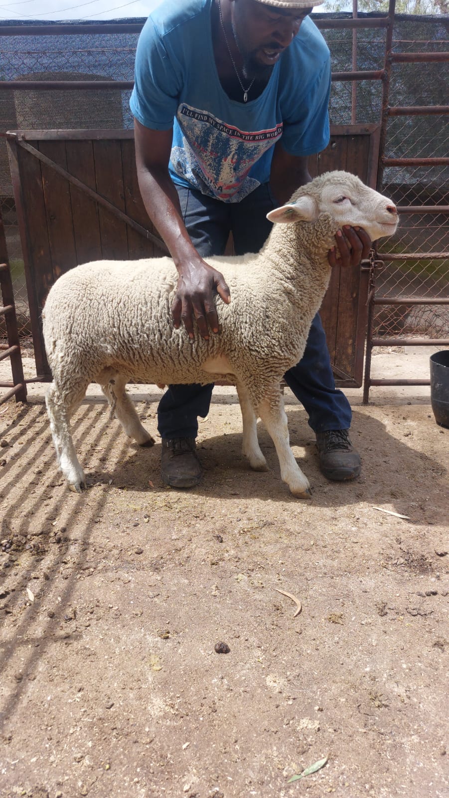 Lot 105 Nov 23