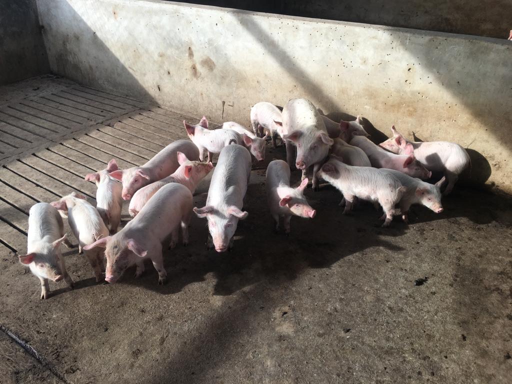 Lot 78 Dec 23