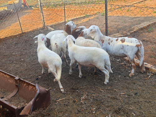 Lot 45 Dec 23