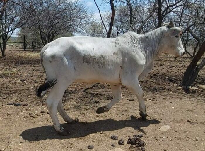 Lot 111 Dec 23
