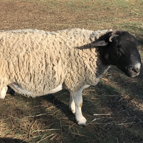 Lot 91 Jan 24