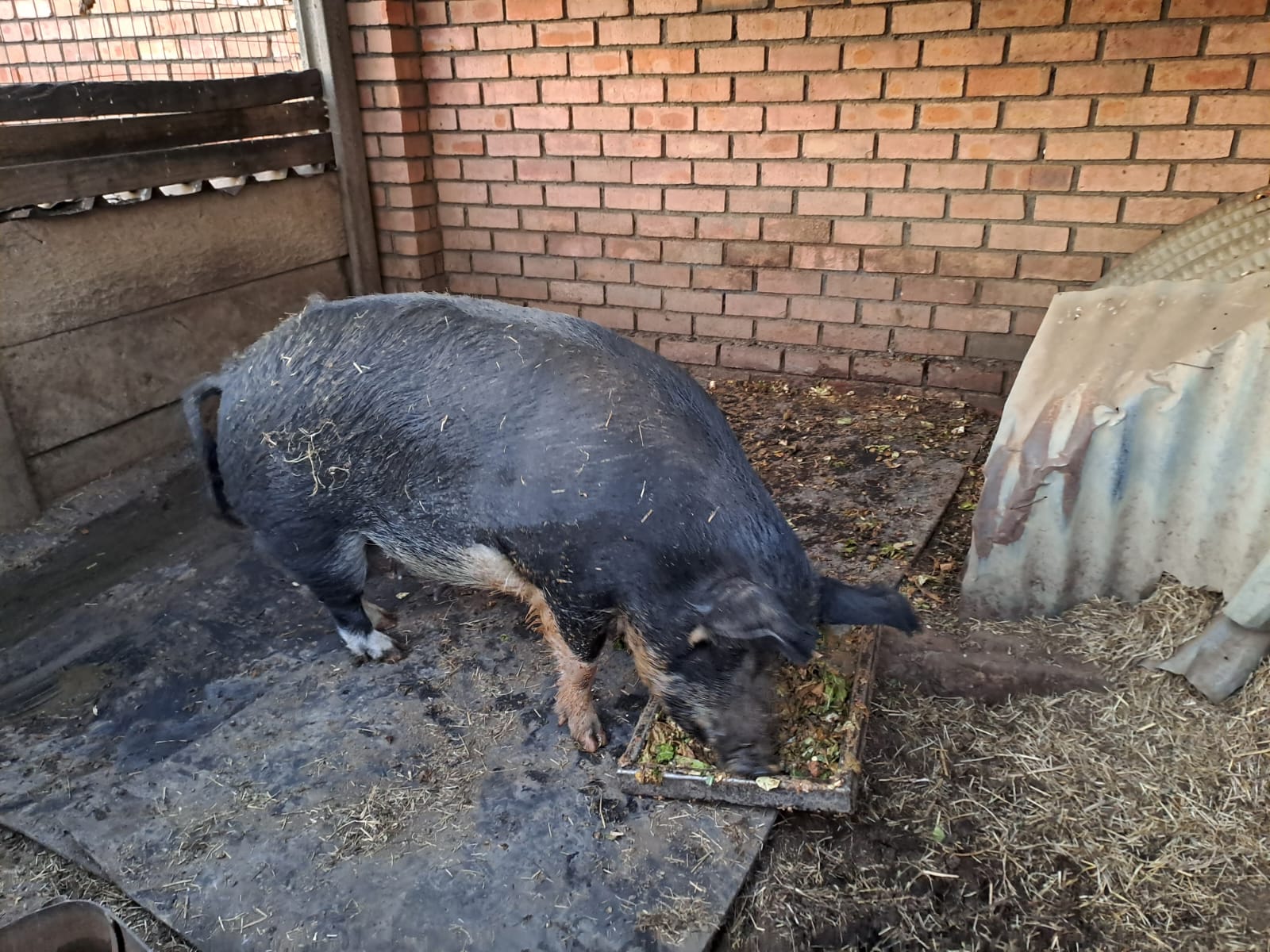 Lot 37 Jan 24