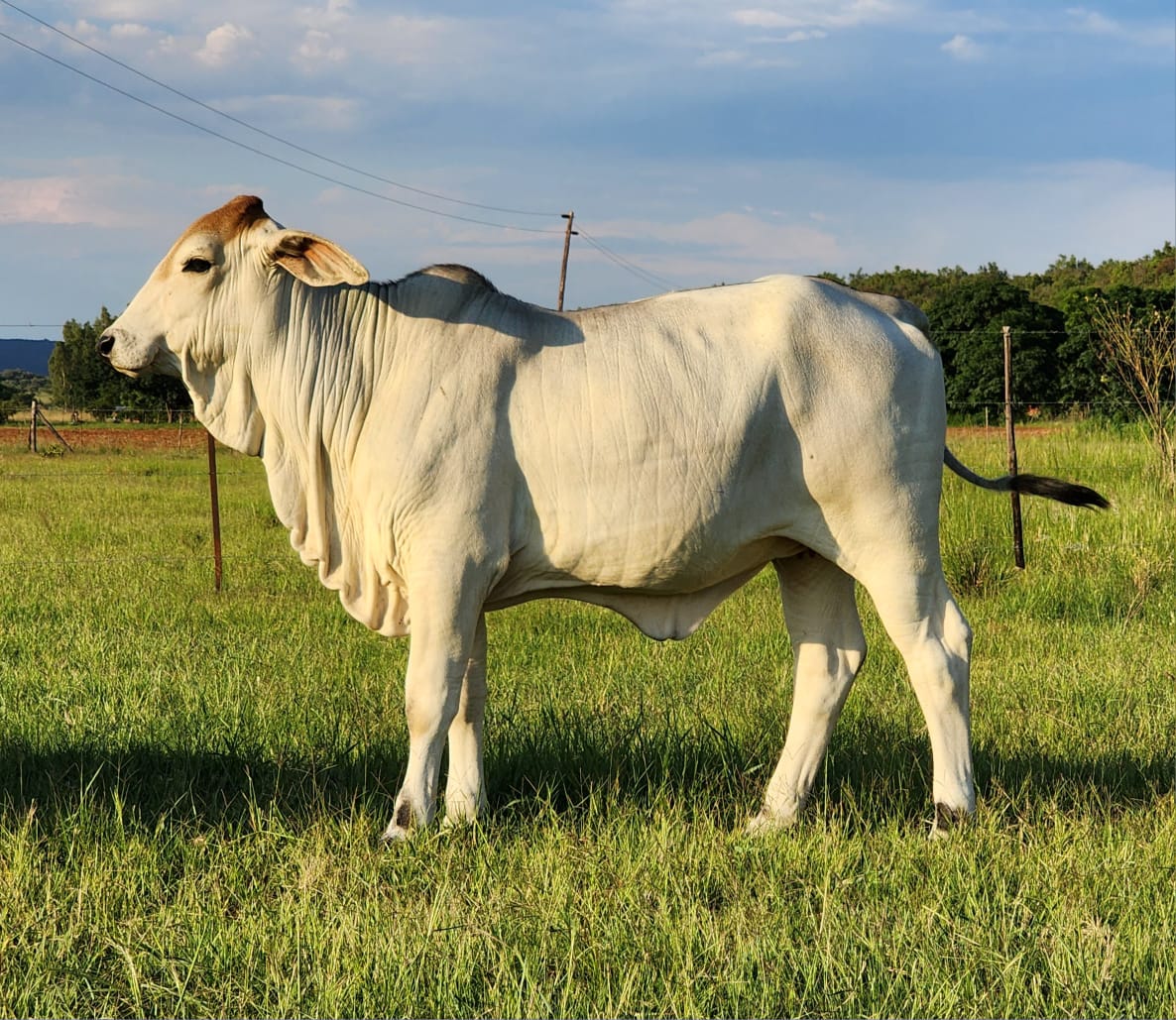 Lot 38 Jan 24