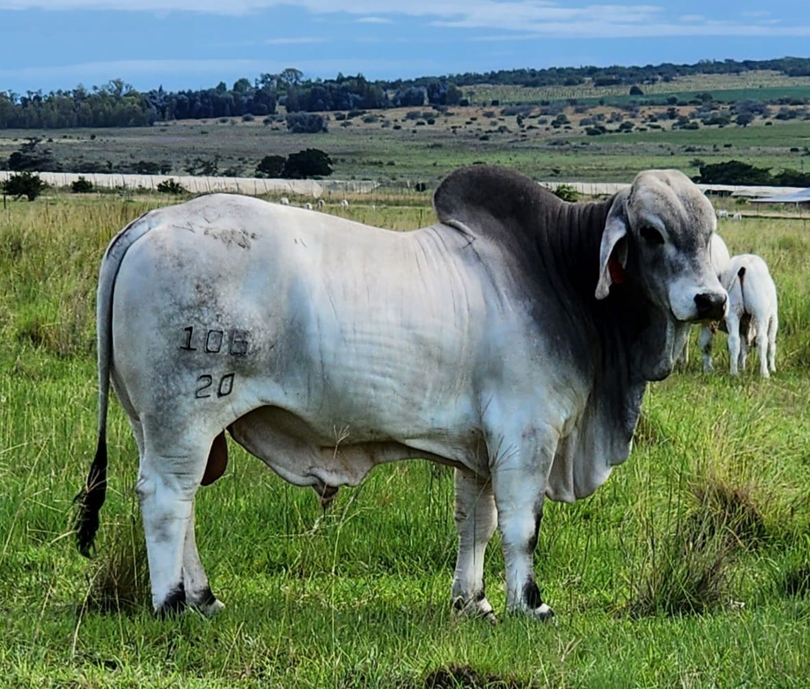 Lot 50 Jan 24
