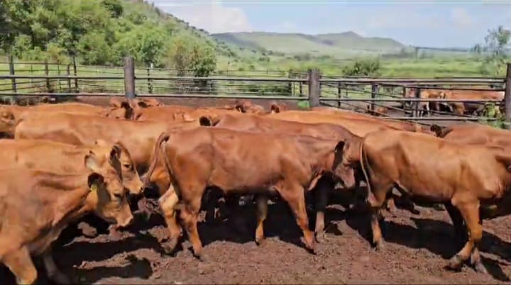 Lot 67 Jan 24