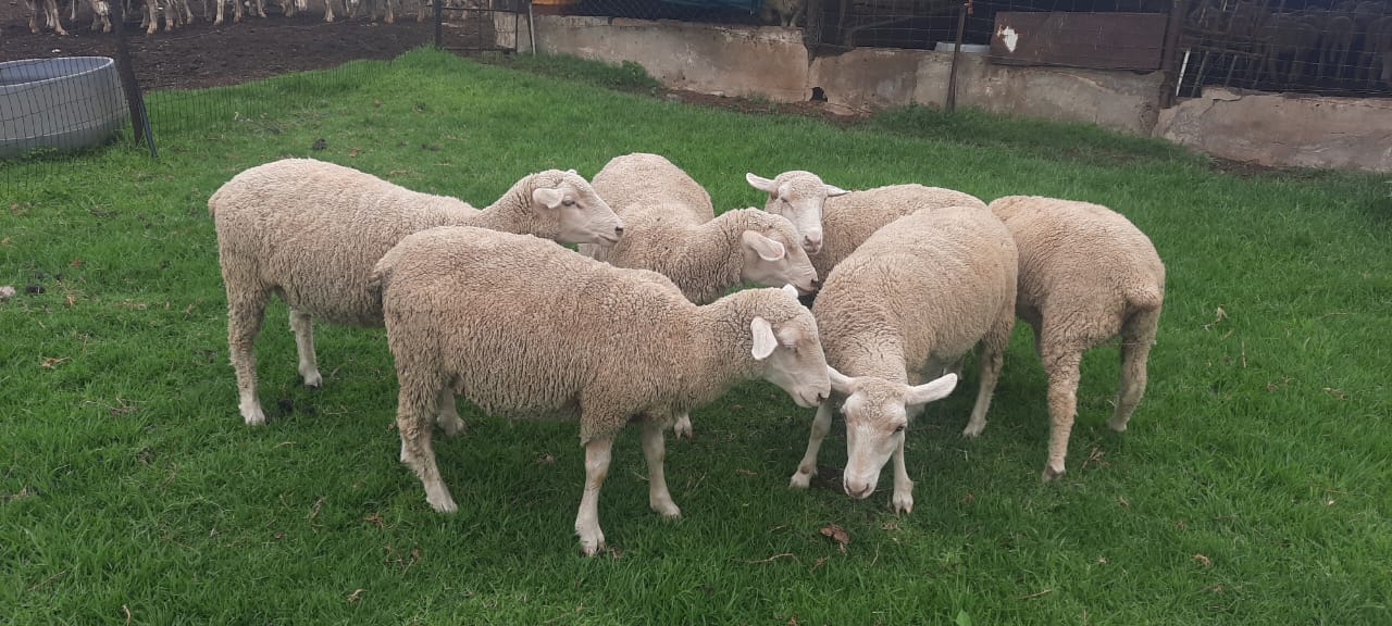 Lot 87 Jan 24
