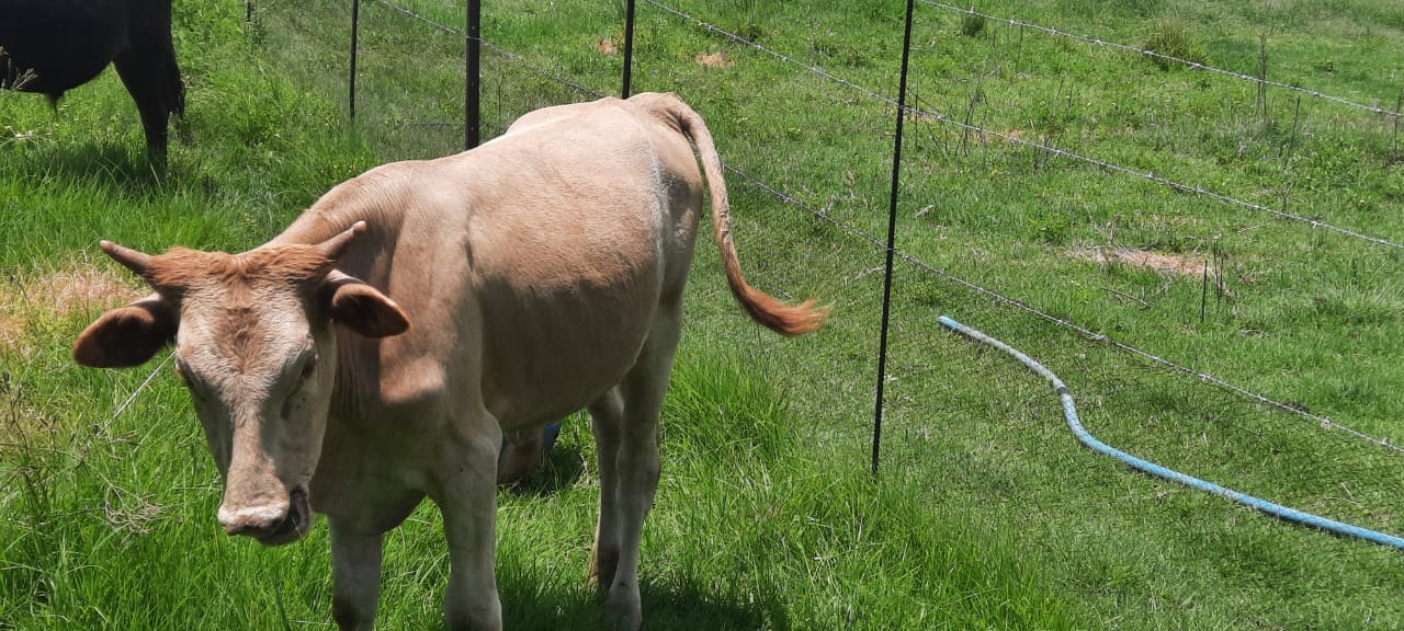 Lot 75 Jan 24