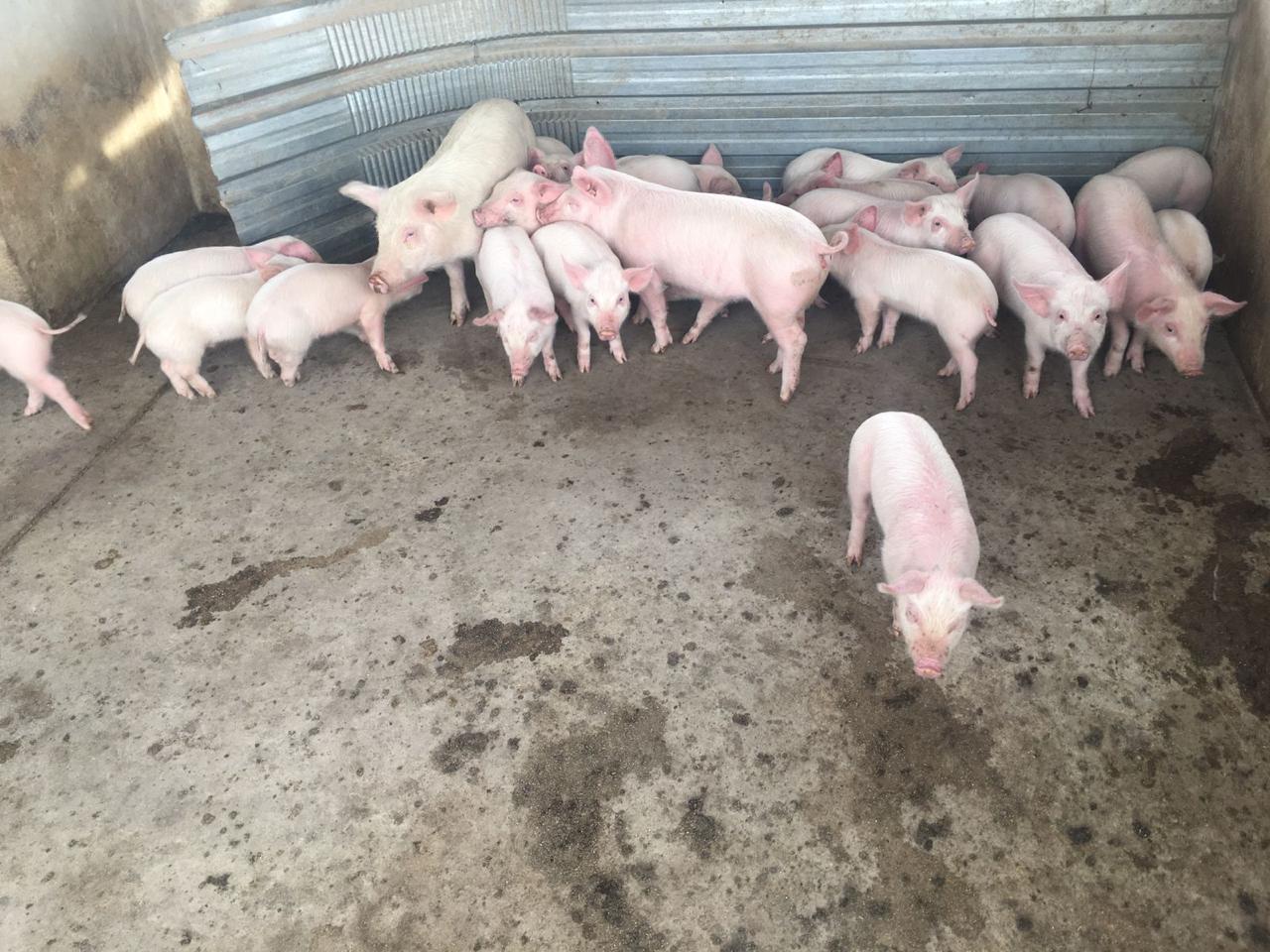 Lot 89 Feb 24