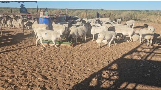 Lot 123 Feb 24