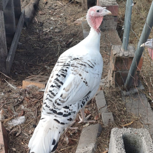 Lot 164 Feb 24
