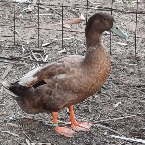 Lot 166 Feb 24
