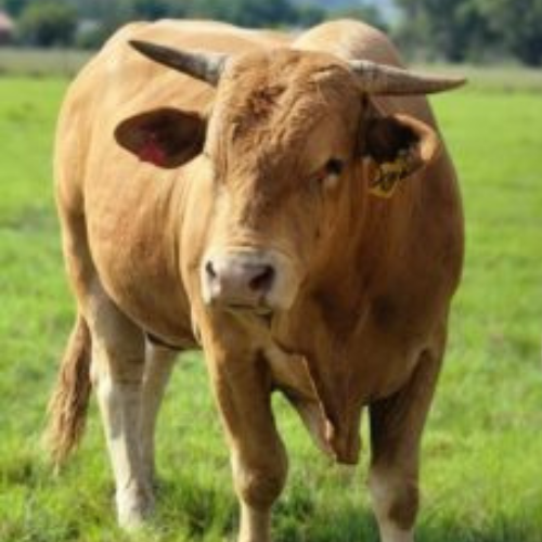 Lot 189 Feb 24