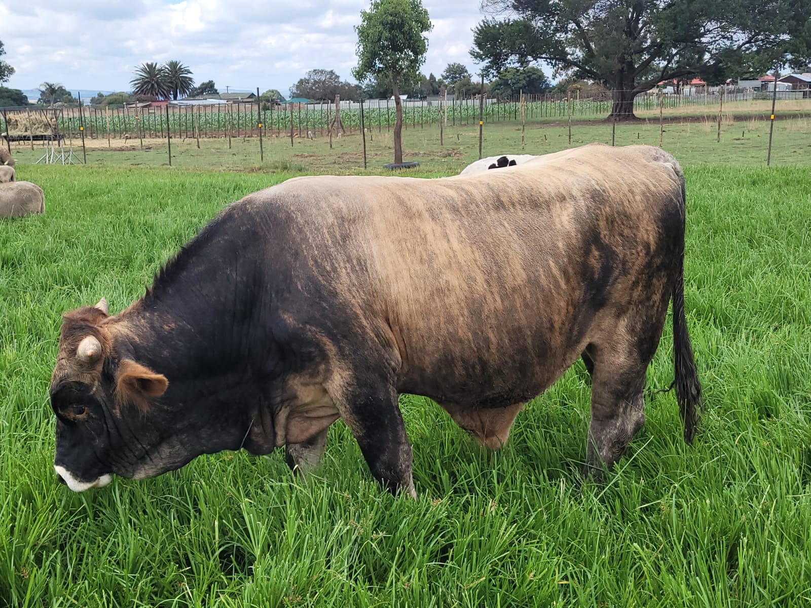 Lot 98 Feb 24