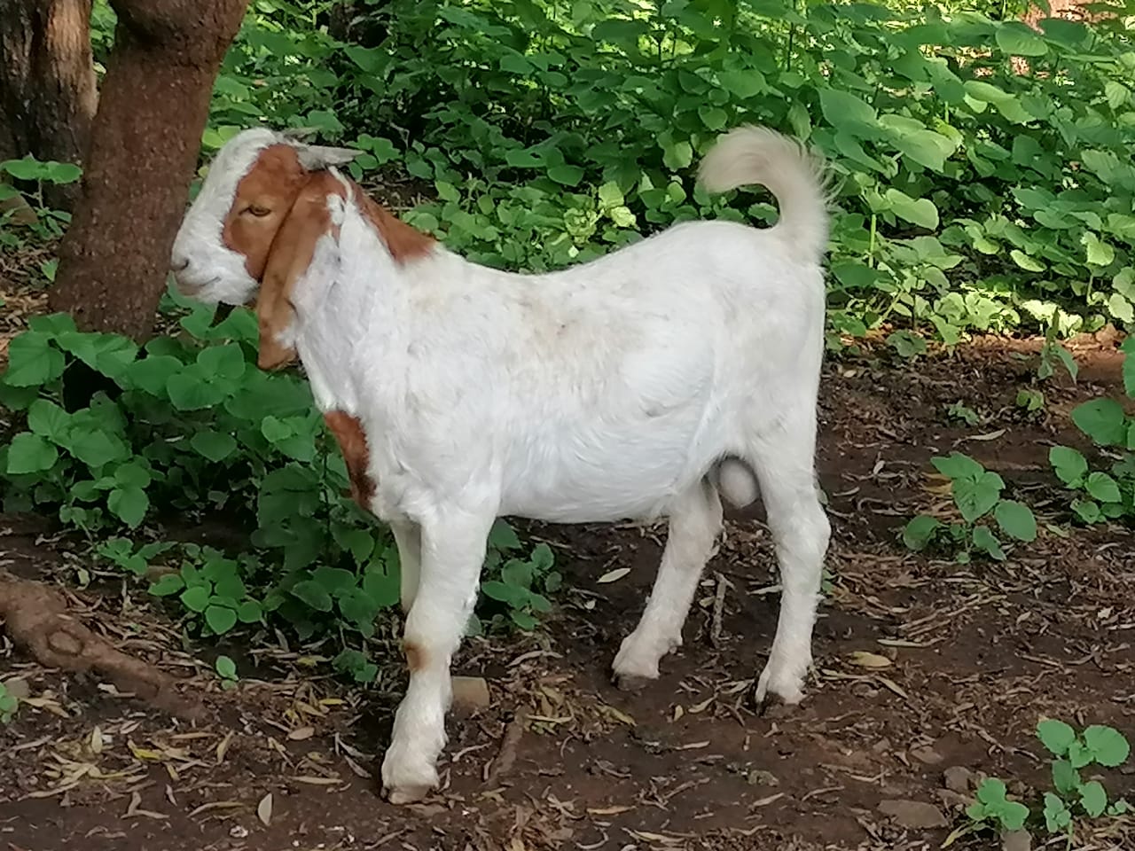 Lot 115 Feb 24