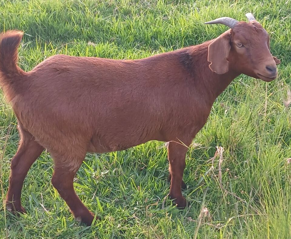Lot 151 Feb 24
