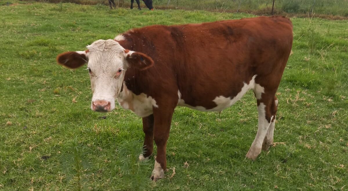 Lot 195 Feb 24