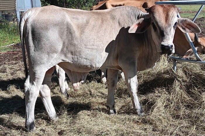 Lot 69 Mar 24