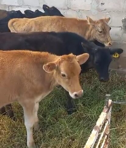 Lot 46 Mar 24