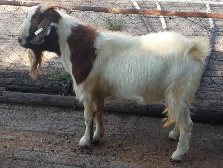 Lot 85 Mar 24