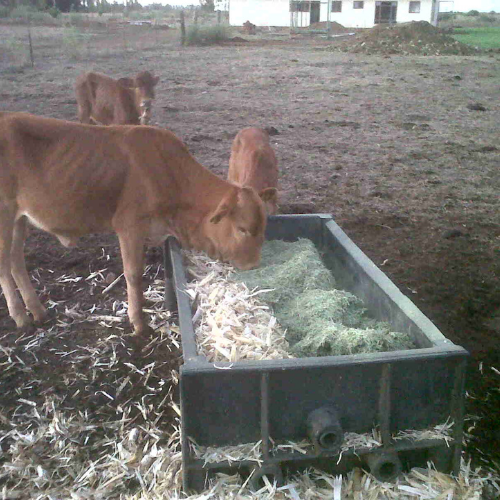 Lot 113 Apr 24