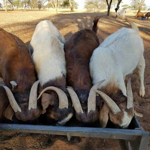 Lot 102 Apr 24