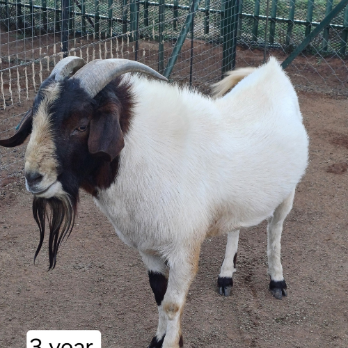 Lot 79 May 24