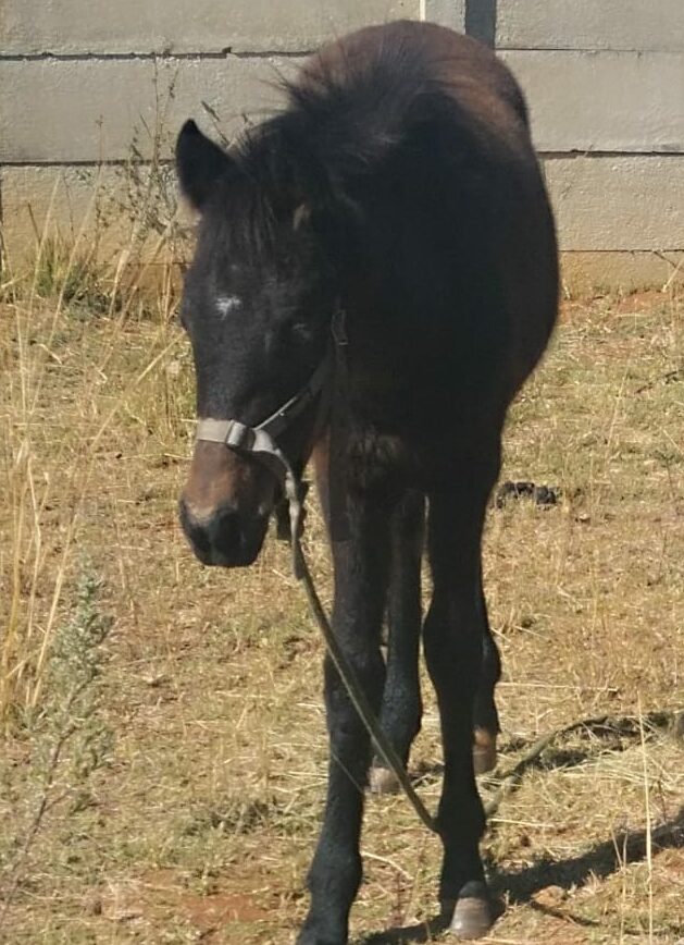 Lot 84 Jun 24