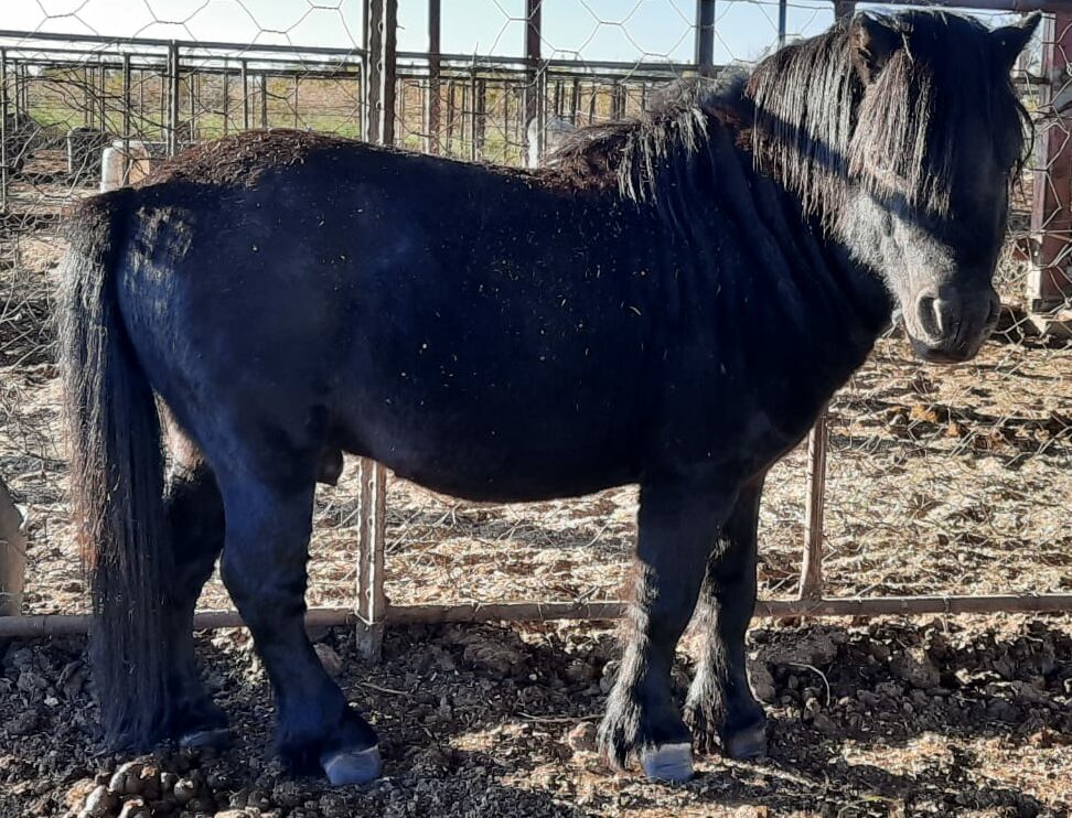Lot 85 Jun 24