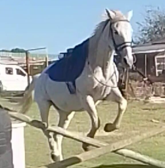 Lot 121 Jun 24