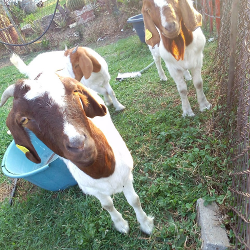 Lot 39 Jun 24