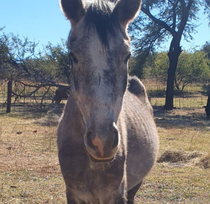 Lot 82 Jun 24