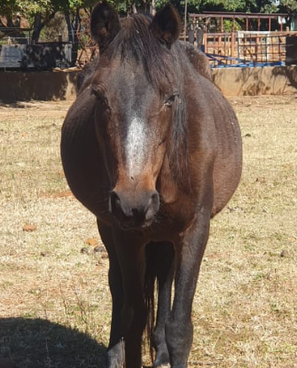 Lot 83 Jun 24