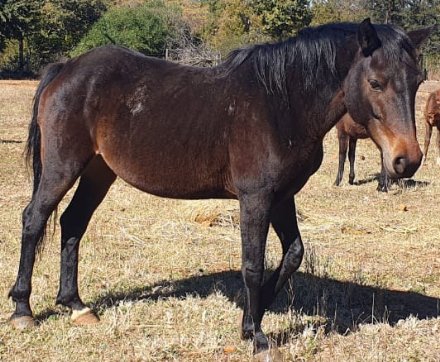 Lot 81 Jun 24