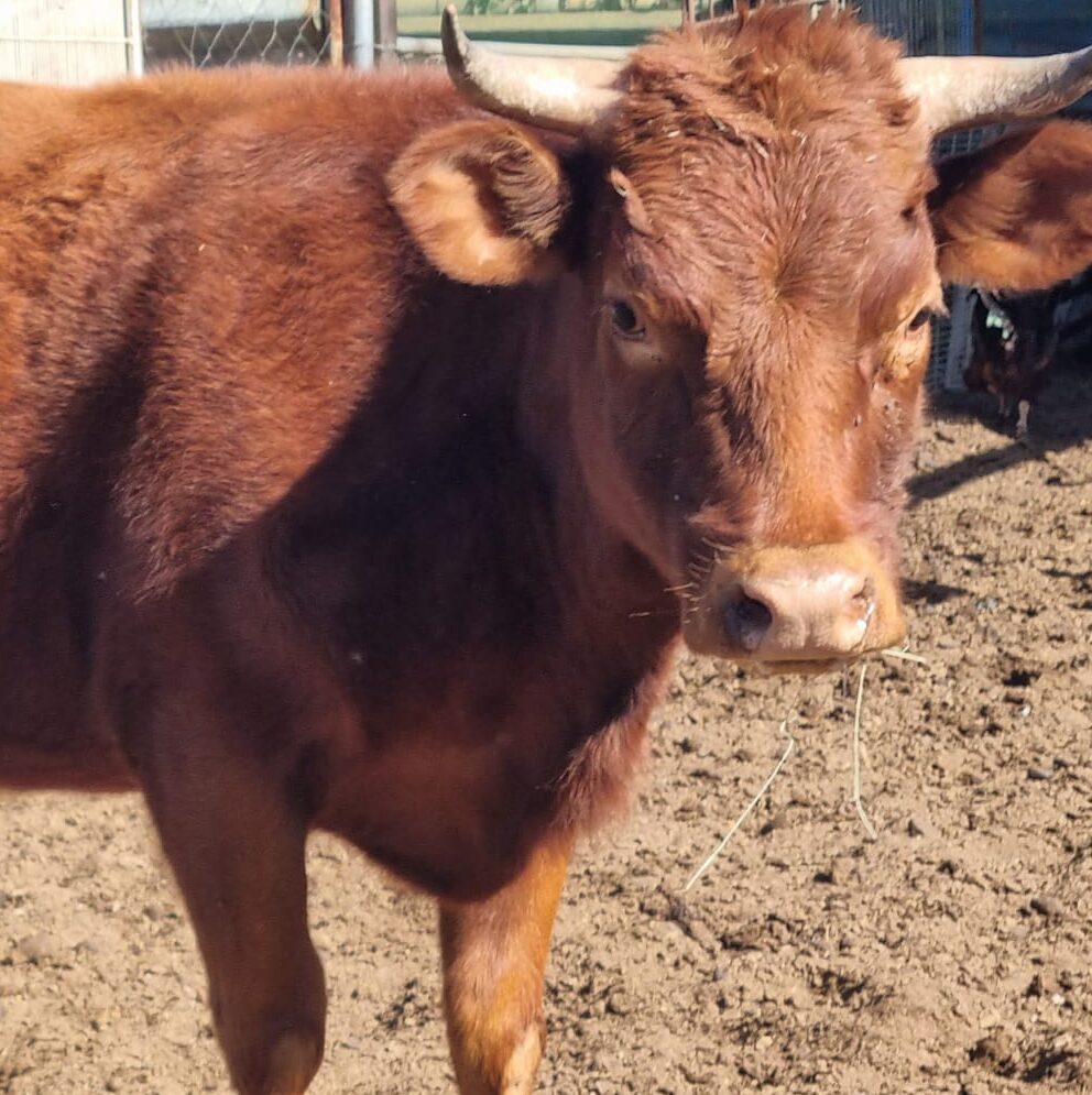 Lot 60 Jul 24