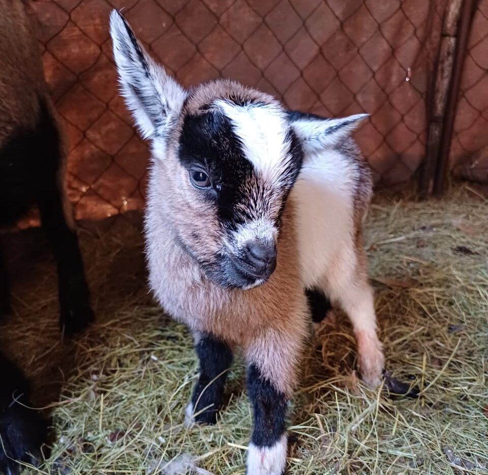 Lot 167 Jul 24