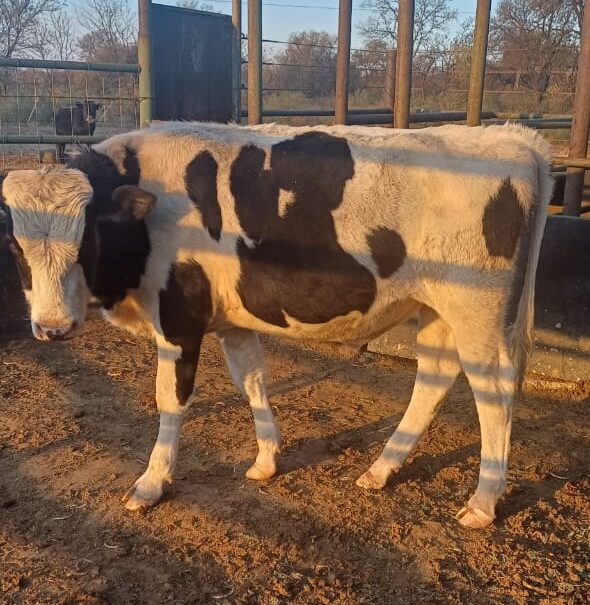 Lot 173 Jul 24