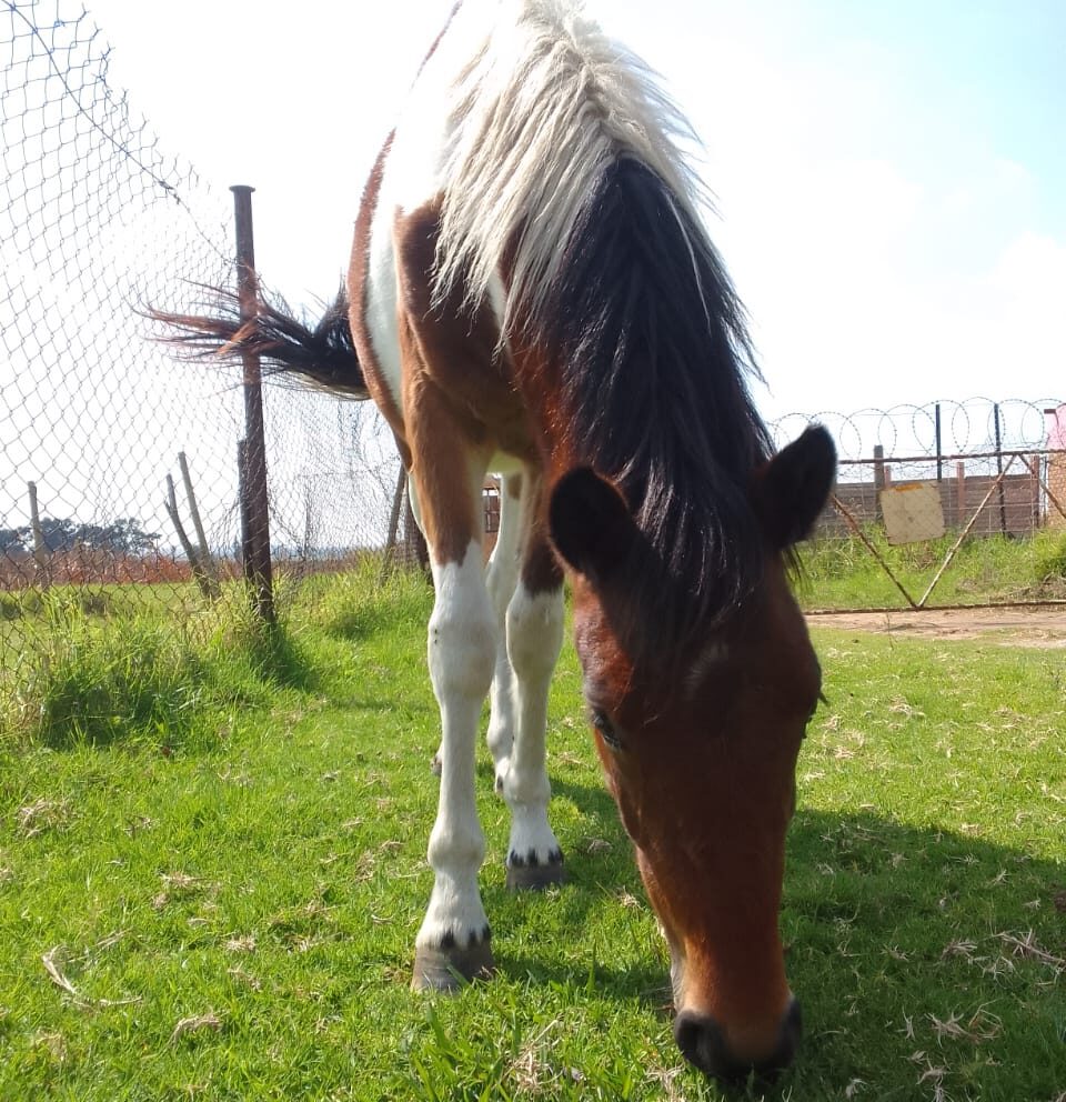 Lot 112 Sep 24
