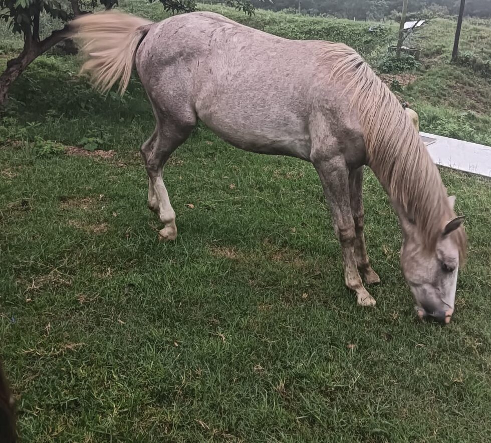 Lot 15 Feb 25